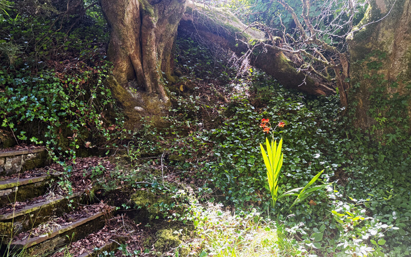 Lisdoonvarna Heritage Trail