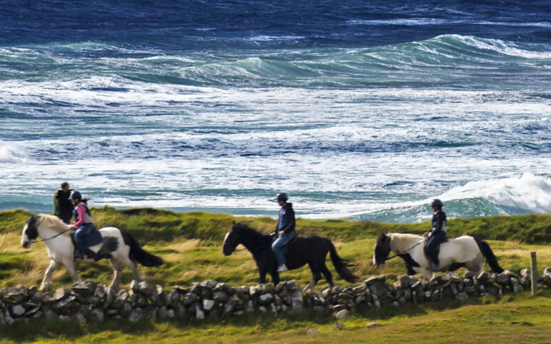 Horse Riding & Trails